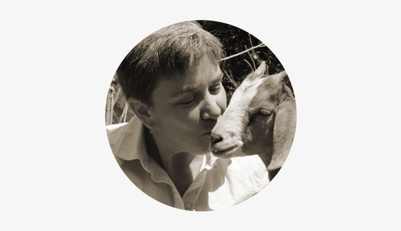 Jean Harrison - Chief Executive, transparent png #1881148