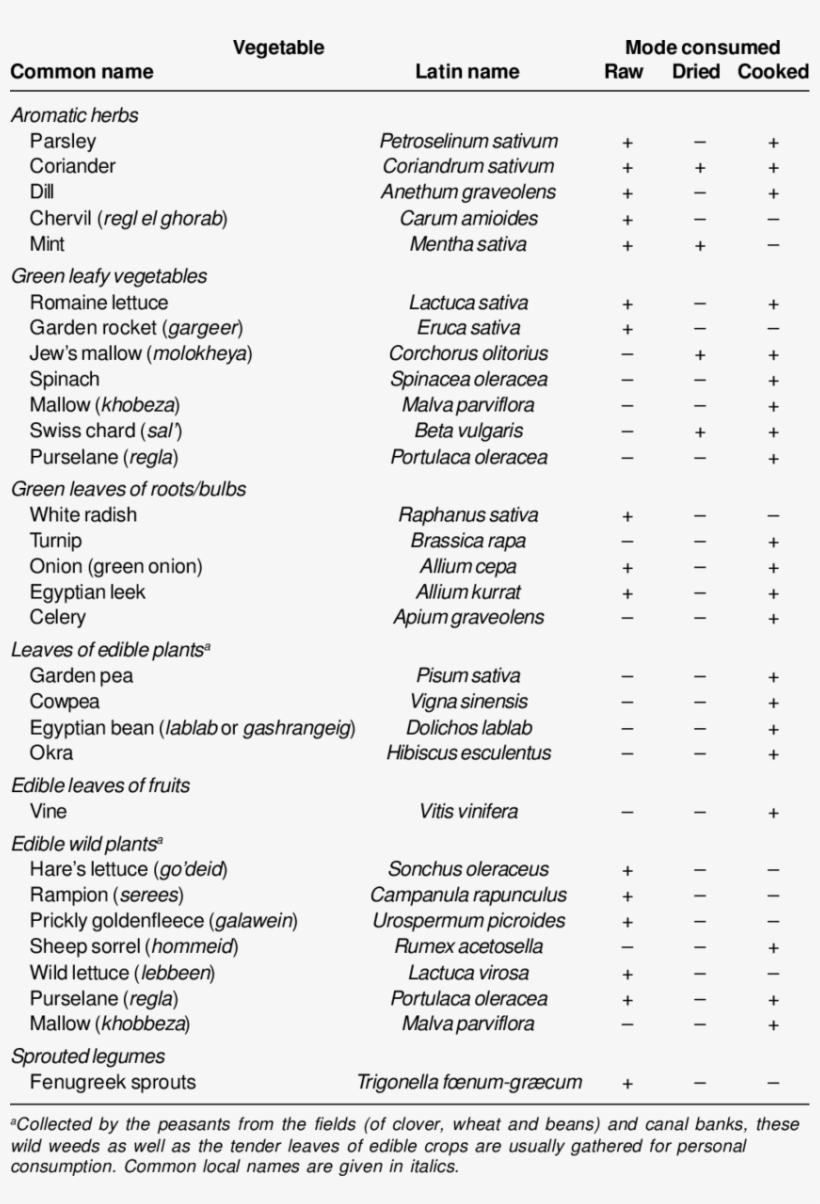 Dark Green Leafy Vegetables Commonly Consumed By Egyptians - List Of Green Leafy Vegetables, transparent png #1881297