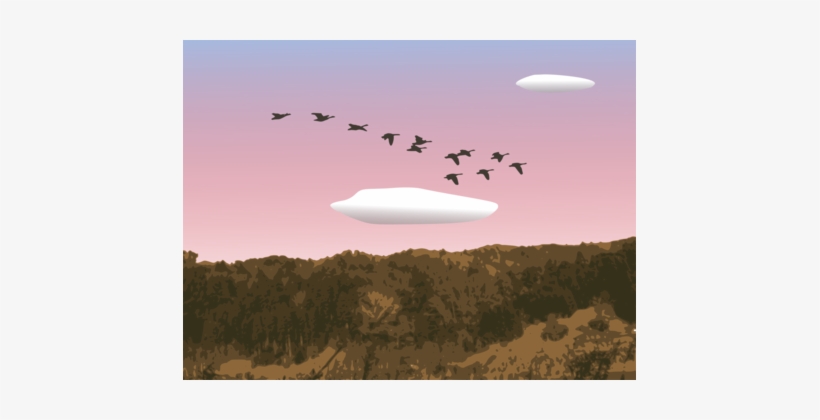 Goose Sky Bird Landscape Cloud - Surviving Stress: Rediscover The Awesome You!, transparent png #1881761