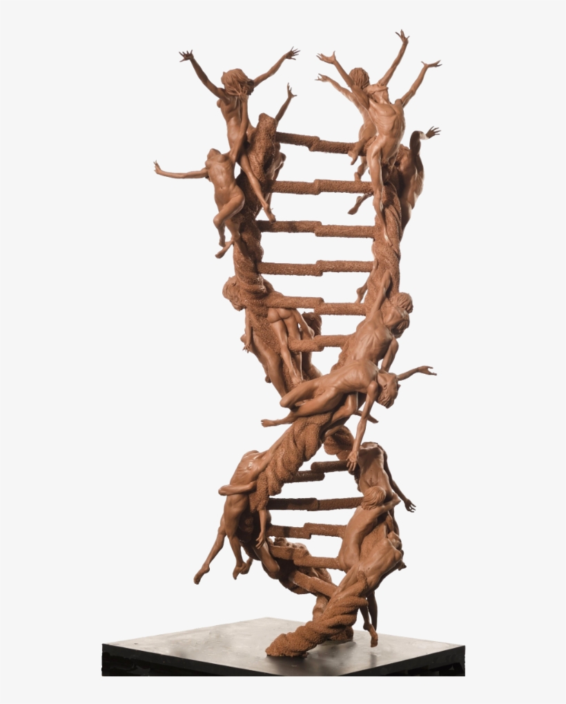 “the Double Helix Xx-xy” Imagines An Animated Strand - Dna Double Helix Art, transparent png #1881971