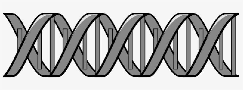 Mb Image/png - Biology, transparent png #1882141