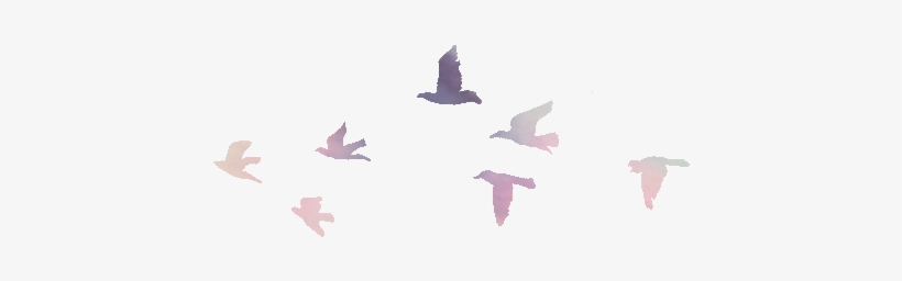 150 Images About Emoji On We Heart It - Draw A Far Away Bird, transparent png #1882220
