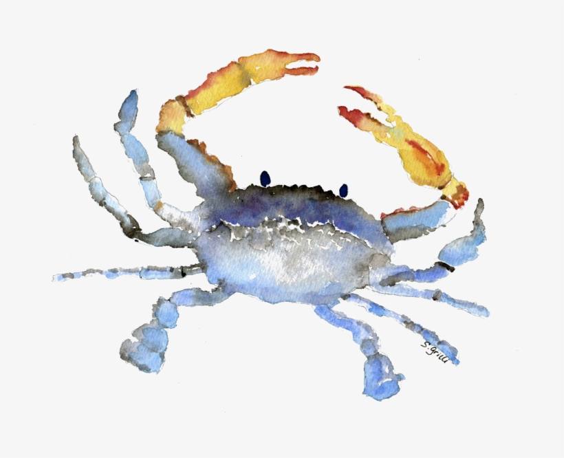 Cornelius The Crab Watercolor - Watercolor Crab Transparent Background, transparent png #1882291
