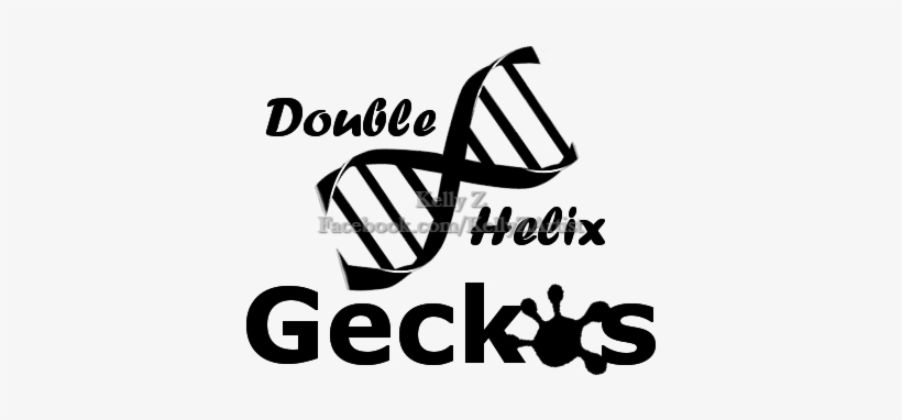Double Helix Geckos Watermark2, transparent png #1882313