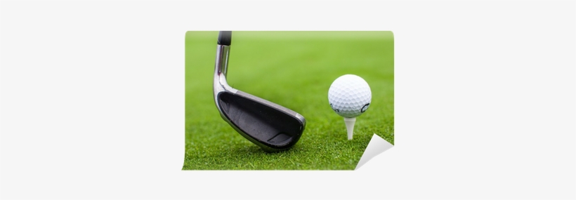 Golf Tee Ball Club Driver In Green Grass Course Closeup - Golf, transparent png #1882432