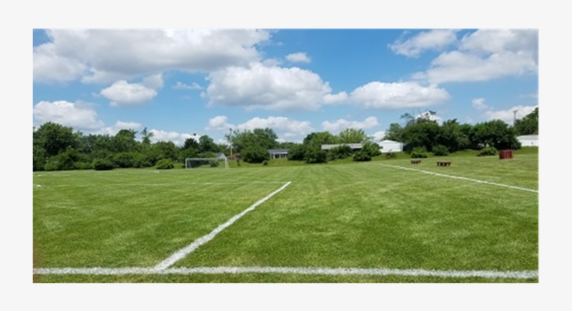 Soccer Fields, transparent png #1882568