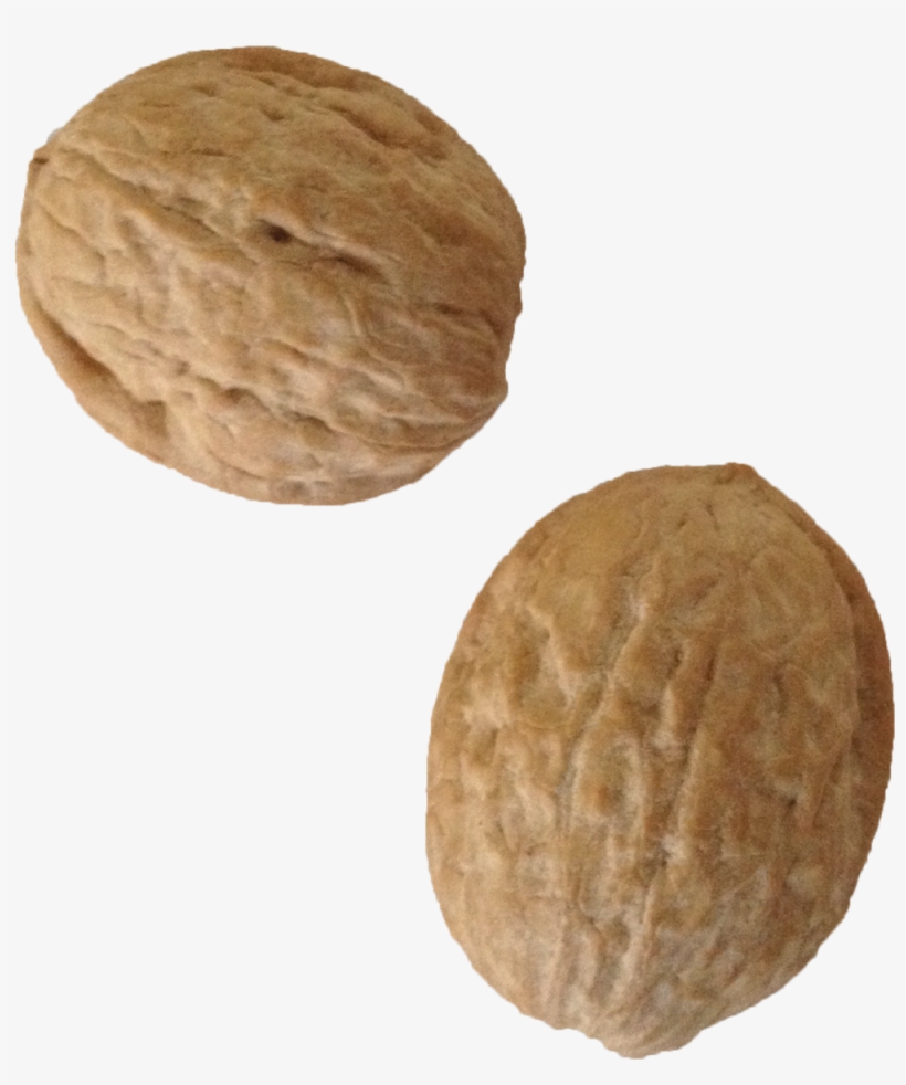 Walnutshellssplit, transparent png #1882598