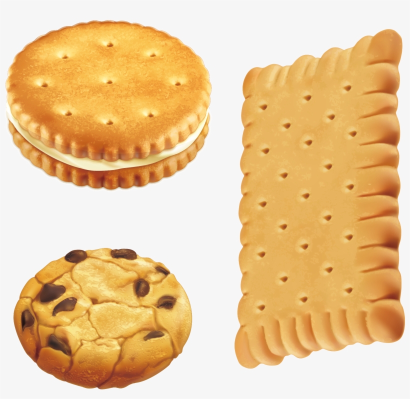 Chocolate Chip Cookie Royalty - Biscuit Clipart, transparent png #1882675