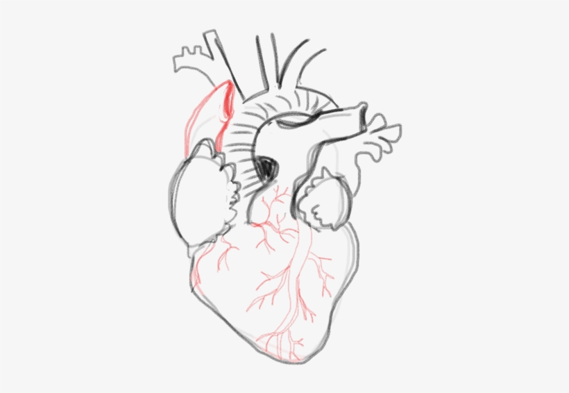 By This Point We're Really Close To Being Finished - Drawing, transparent png #1883321