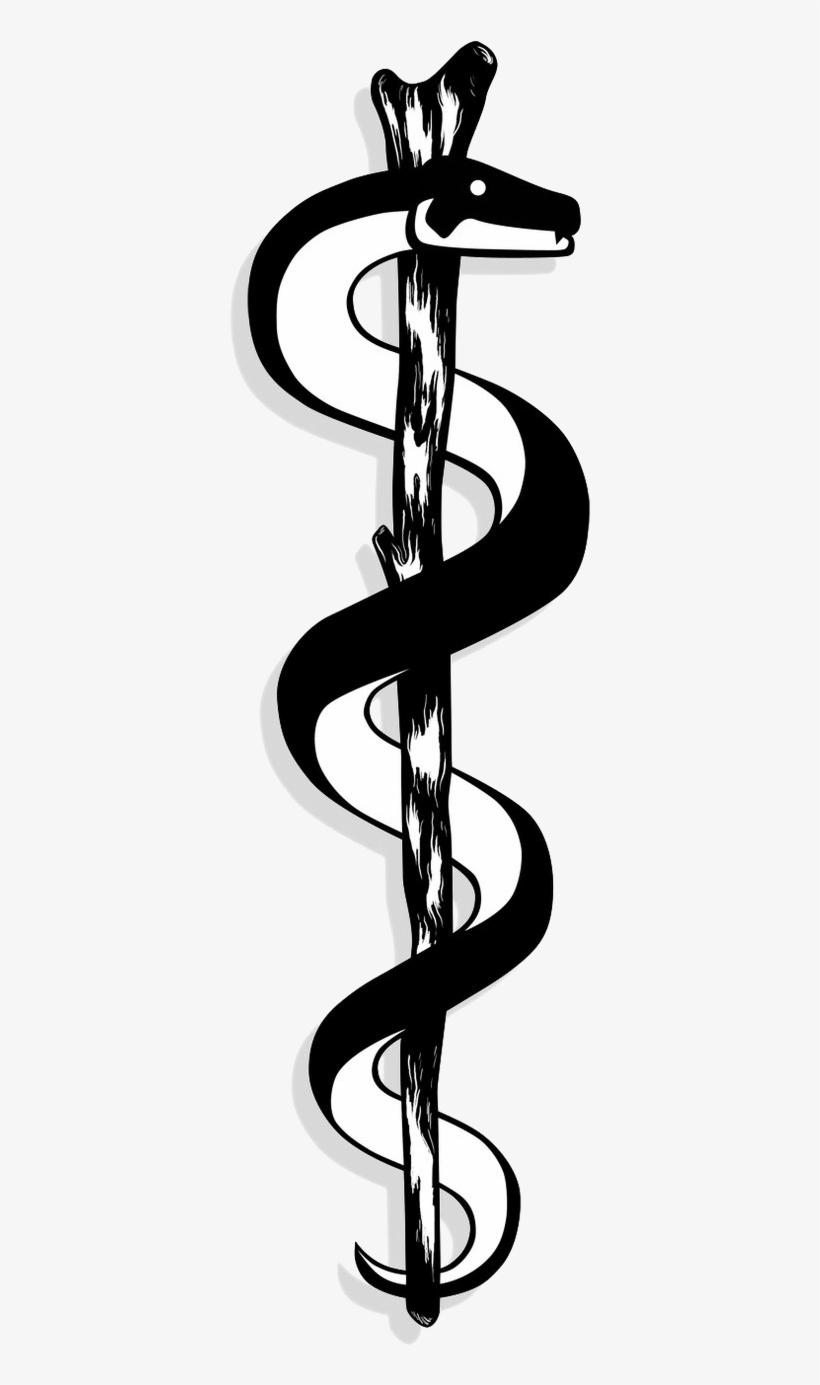Rod Of Asclepius - Venezuela's Health Care Revolution [book], transparent png #1883700