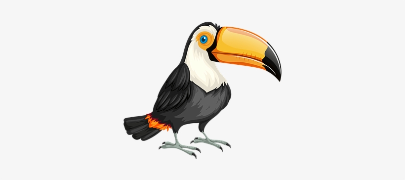 Toucan, Bird, Nature, Wild, Wildlife - Bandeira Do Brasil Com Um Tucano, transparent png #1883762