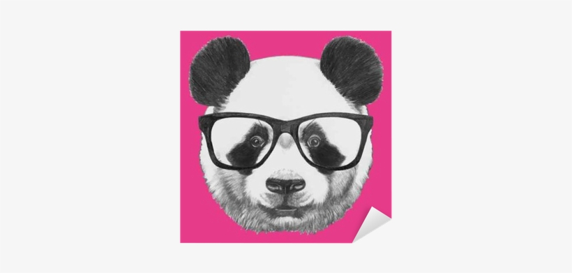 Hand Drawn Portrait Of Panda With Glasses - Panda With Glasses Shirt, transparent png #1883818