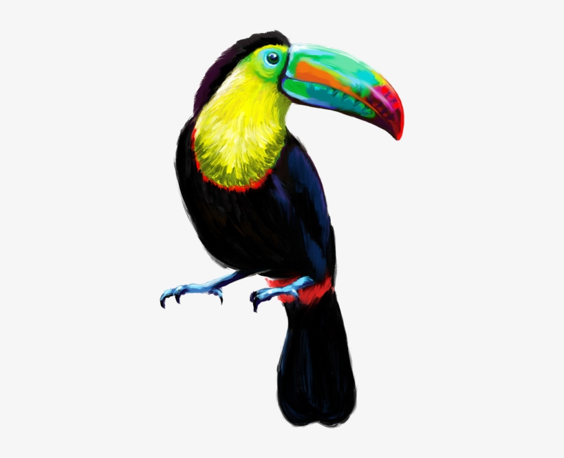 Tucan Baja Transparente - Toucan, transparent png #1883914