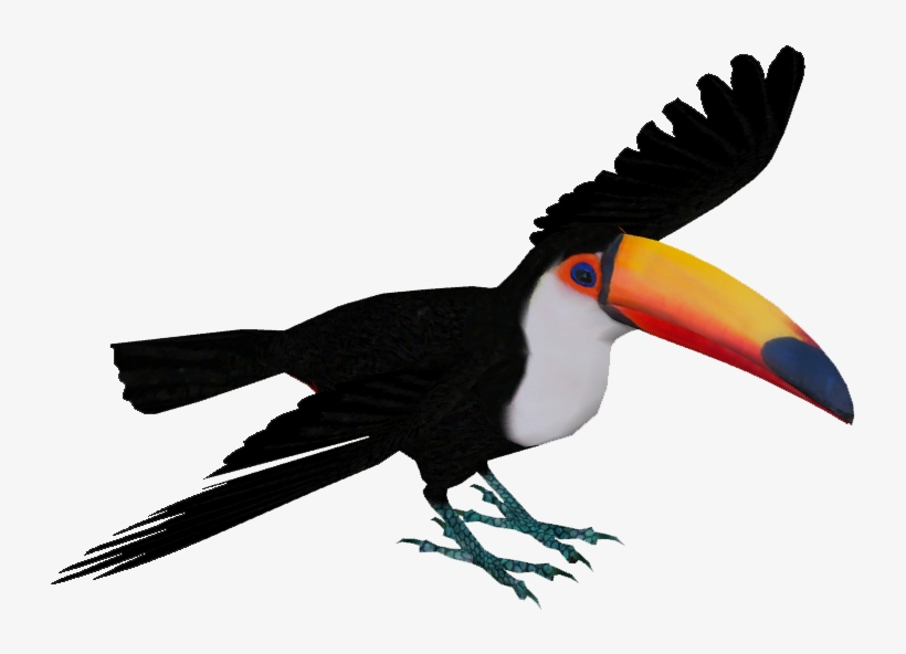 Toco Toucan - Toco Toucan Transparent, transparent png #1883997