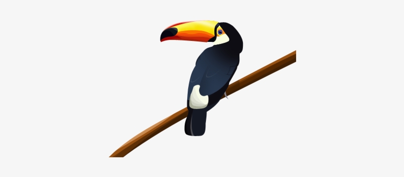 Vectorizacion De Un Tucan Toucan Free Transparent Png Download Pngkey