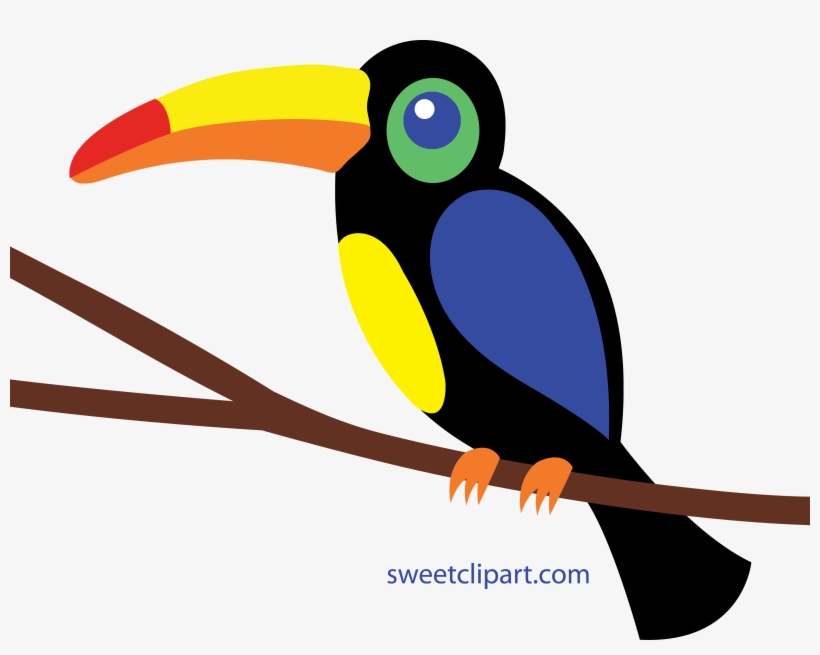 Toucan Cliparts - Toucan Clipart, transparent png #1884440