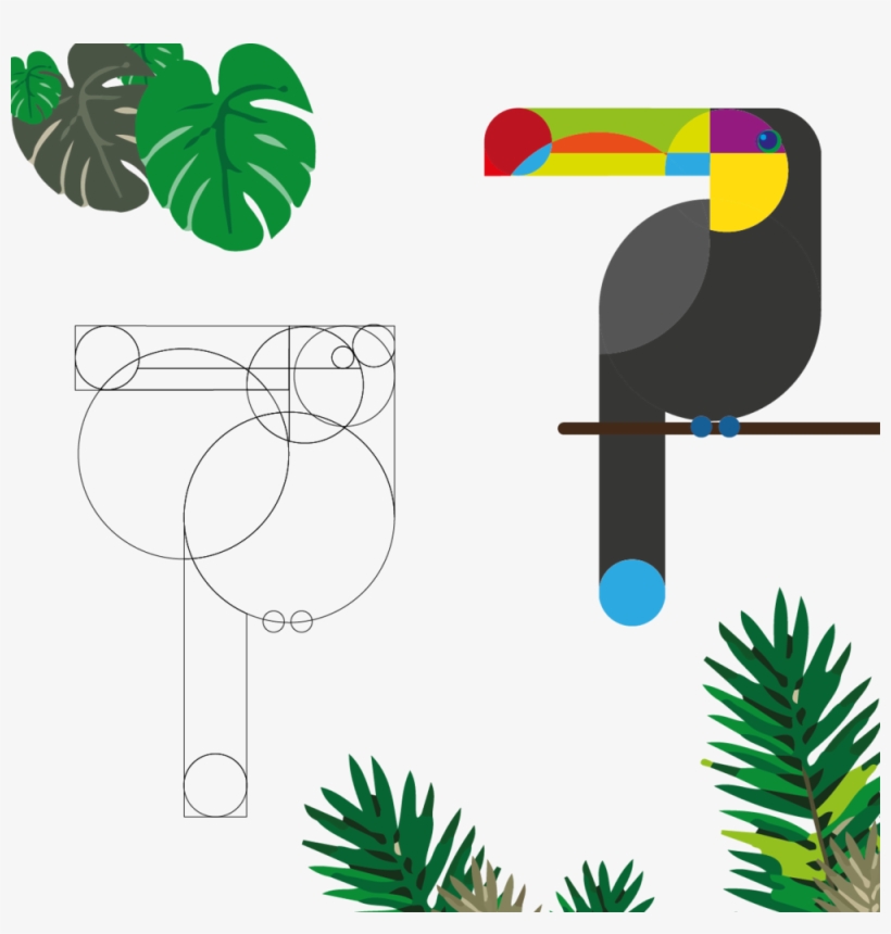 Tucan 5 08 08 08, transparent png #1884466