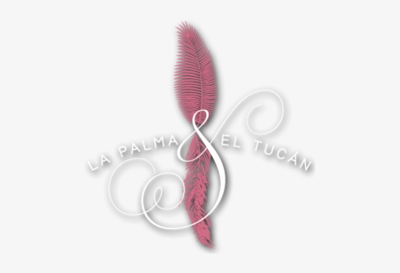 Colombia La Palma & El Tucan *heroes Series Geisha* - La Palma Y El Tucan Colombia, transparent png #1884493