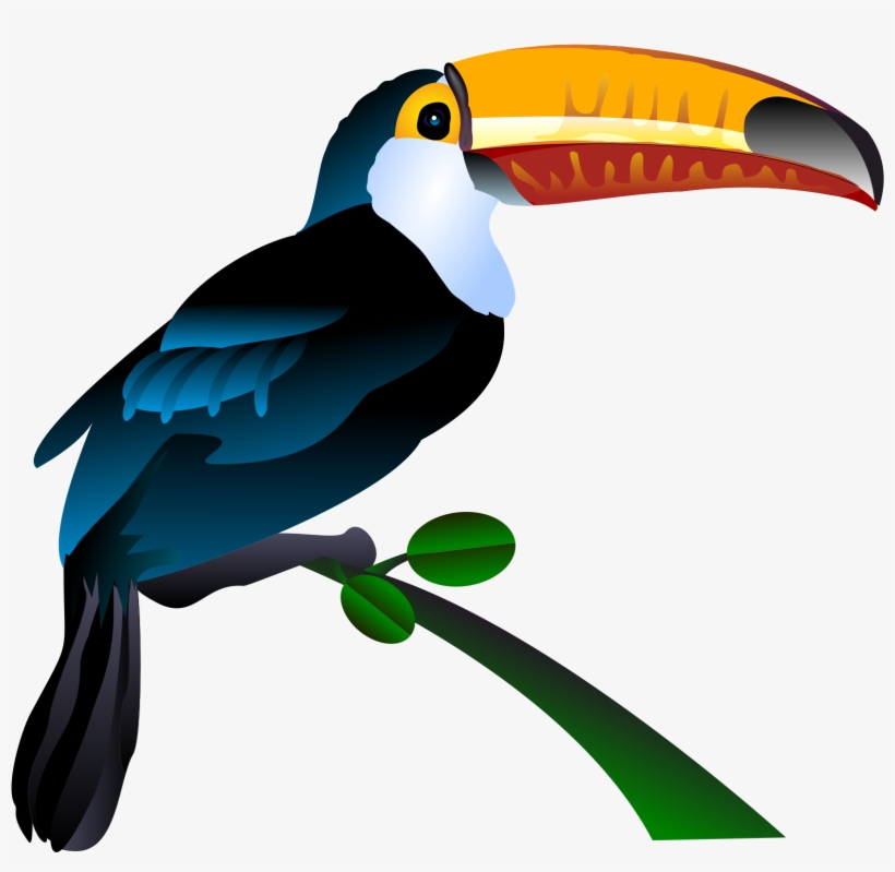 Clip Art Library Cockatiel Clipart At Getdrawings - Toucan Png, transparent png #1884515