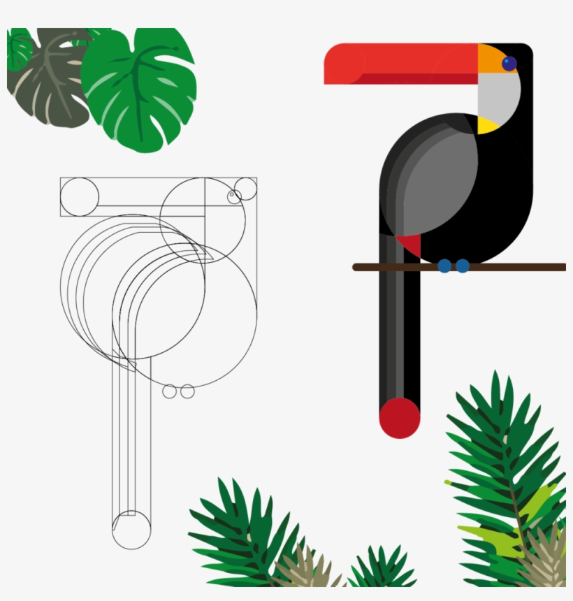 Tucan 4 08 08, transparent png #1884776