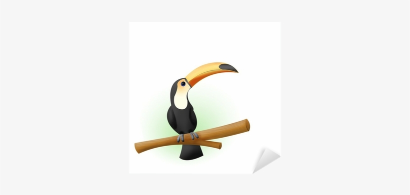 Toucan, transparent png #1884855