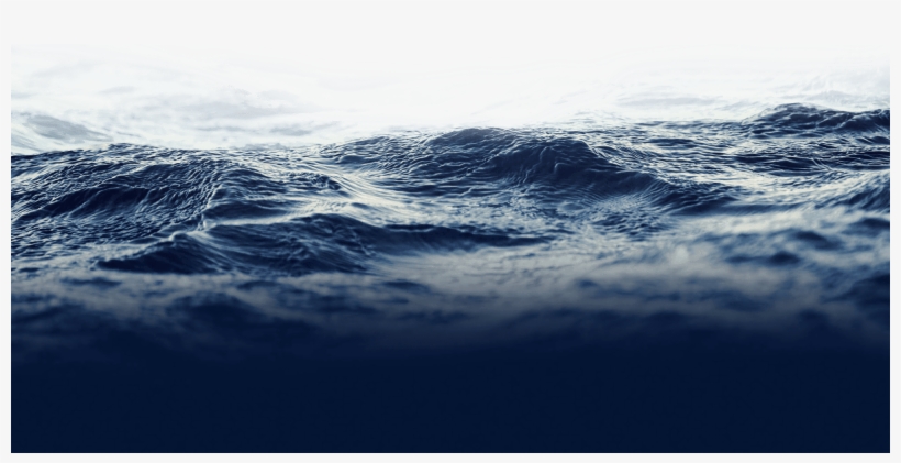 Check Out Our - Los Hijos Del Mar [book], transparent png #1885888