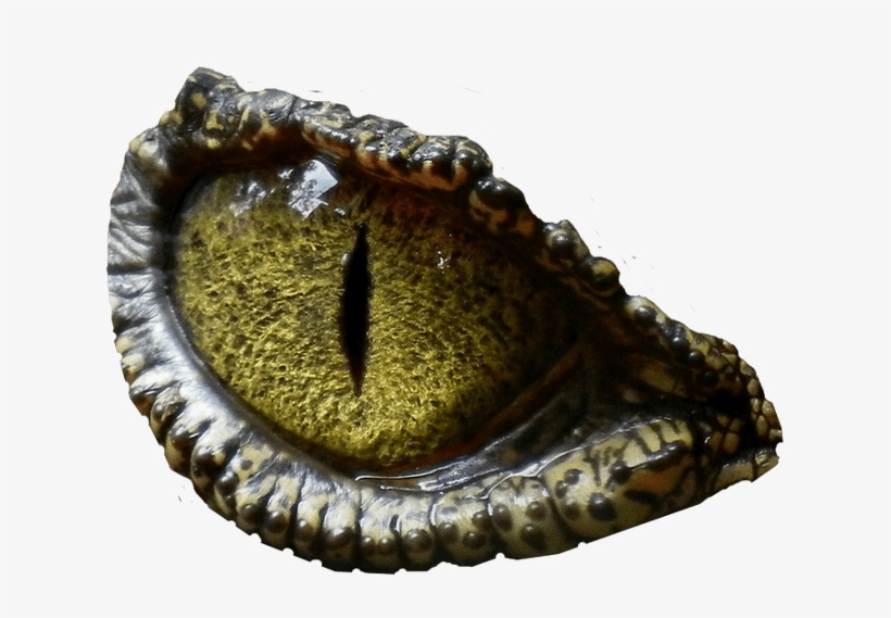 Banner Free Stock Background Prehistoric Animal Website - Eye Of Crocodile, For The Love Urnal For Your Thoughts,, transparent png #1886679