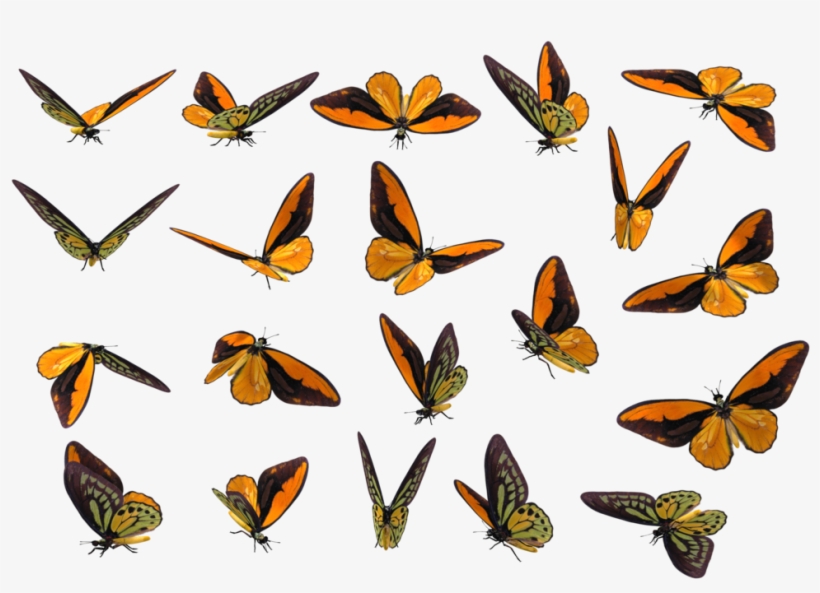 More Like Realistic Aggron By Phill-art - Realistic Butterfly Transparent Png, transparent png #1887793