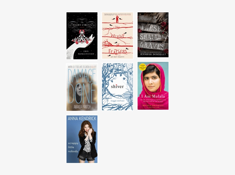 Reader's Advisory For Asia Mack - Shiver By Maggie Stiefvater, transparent png #1888009