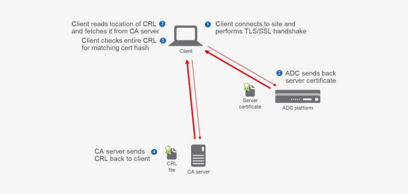 Certificate Revocation 3 - Certificate Revocation List, transparent png #1888785