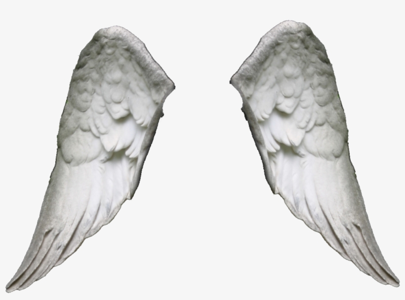 The Gallery For > Realistic Angel Wings Png - Angel, transparent png #1889508
