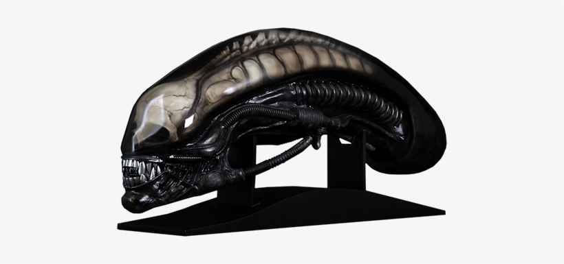 Gigers Alien Life Size Head Prop Replica Gigers Alien - Cool Props Giger Alien, transparent png #1890386