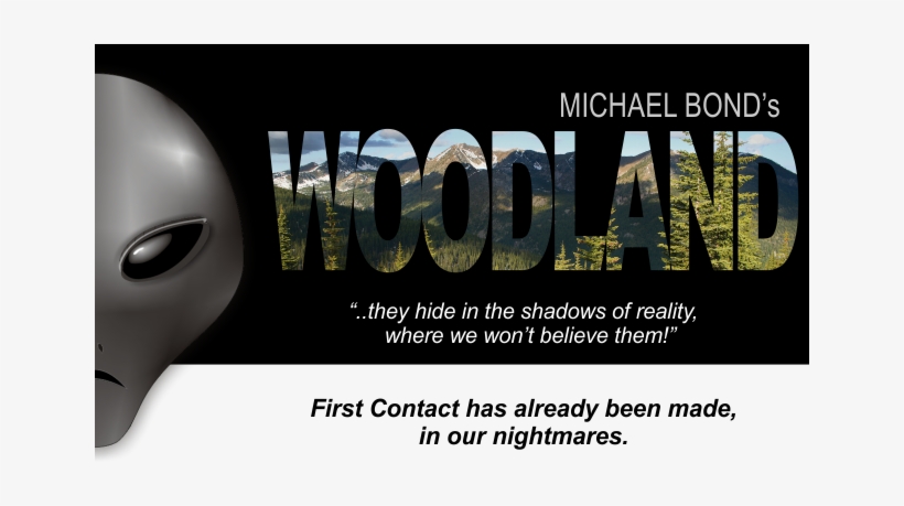 Woodland Ufo Movie Image - Woodland Movie, transparent png #1890402