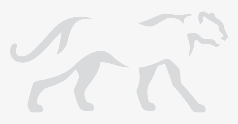 Background-catfacts Itok=bz8fdt6r - Panthera Org, transparent png #1890881