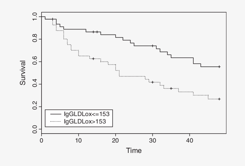 Kaplan Meier Estimate Of Survival In Haemodialysis - Contrast-enhanced Ultrasound, transparent png #1891197