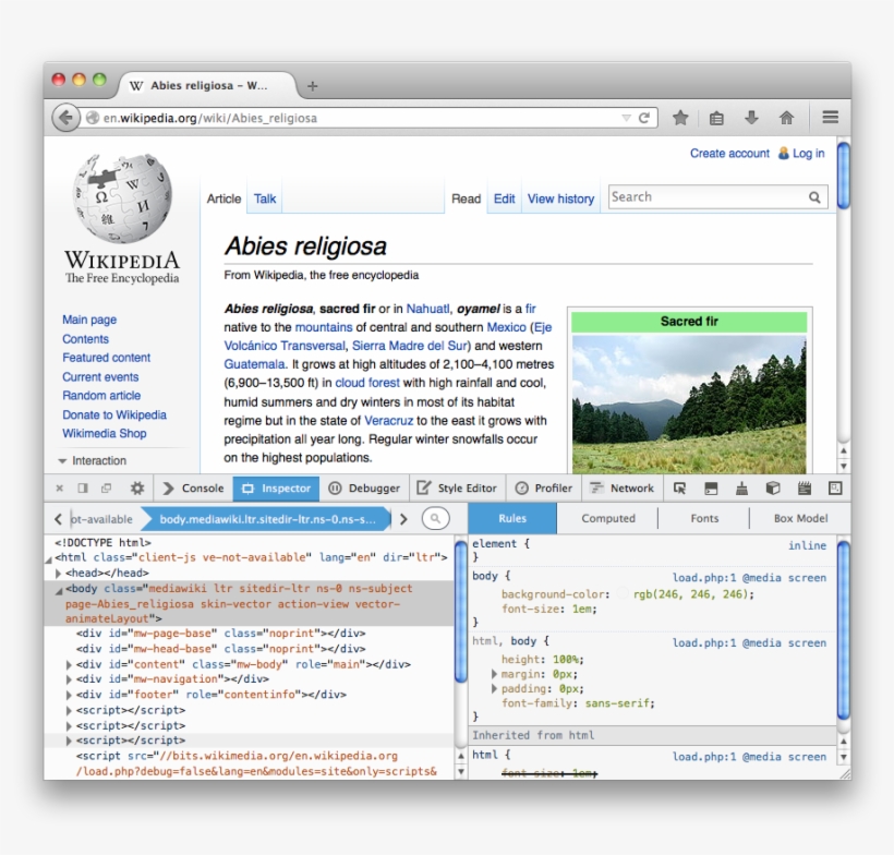 The Window Itself Is Split Into Two Parts - Wikipedia, transparent png #1892105