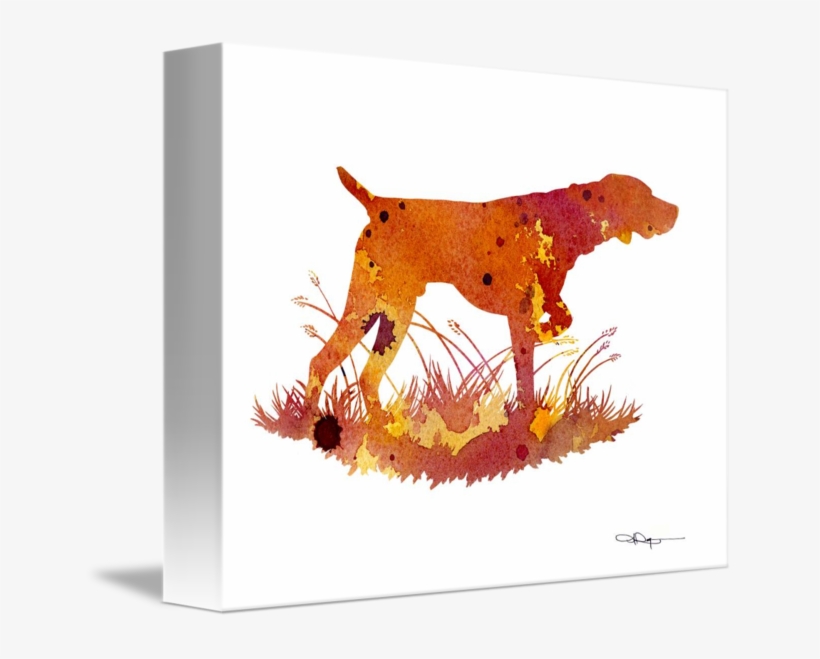 "german Shorthaired Pointer" By David Rogers - German Shorthaired Pointer, transparent png #1892389