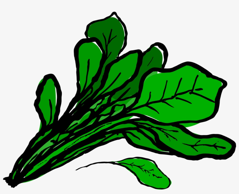 Spinach Clipart At Getdrawings - Clip Art Spinach, transparent png #1892556