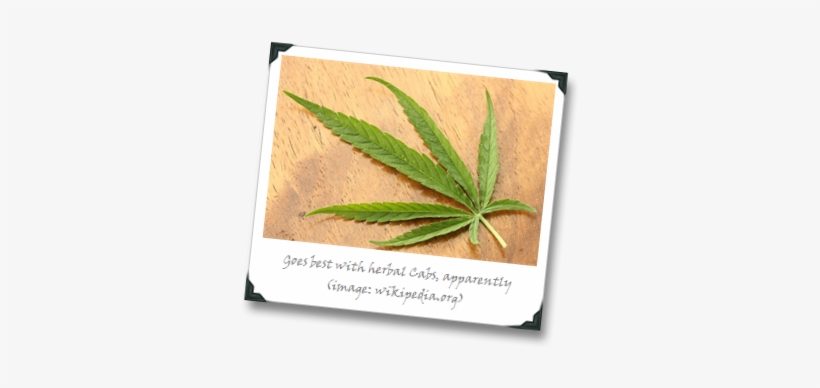 800px-cannabis Sativa Leaf Dorsal Aspect 2012 01 23 - Cannabis, transparent png #1892888