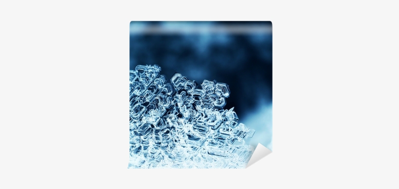 Photography, transparent png #1894429