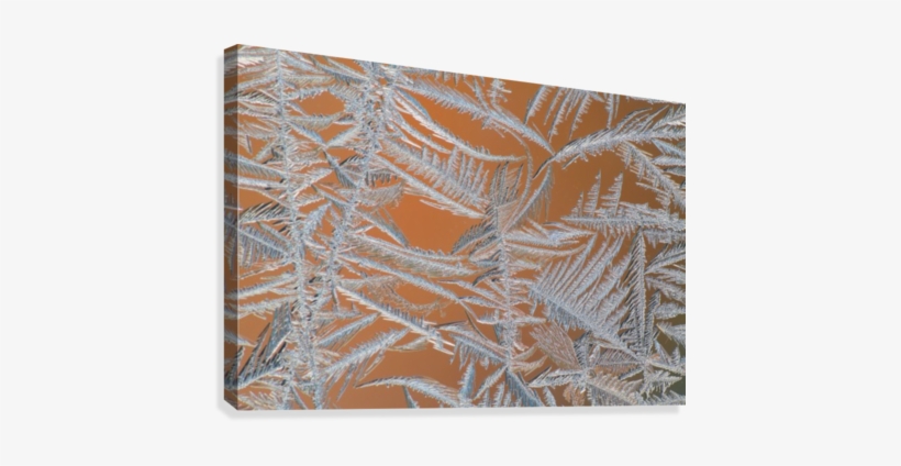 Ice Crystals On A Window - Posterazzi Ice Crystals On A Window Whitehorse Yukon, transparent png #1894499