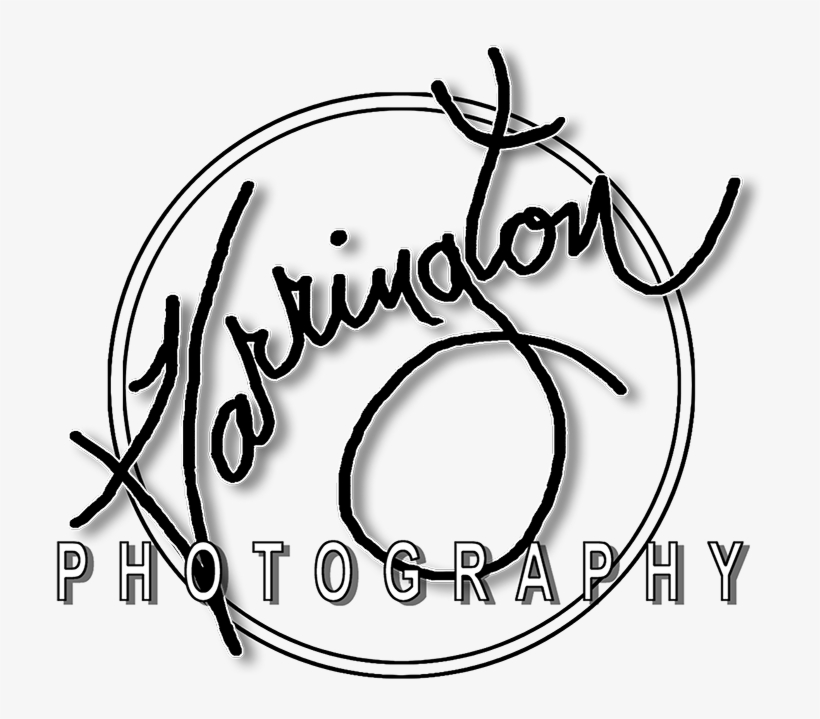 Photography, transparent png #1895199