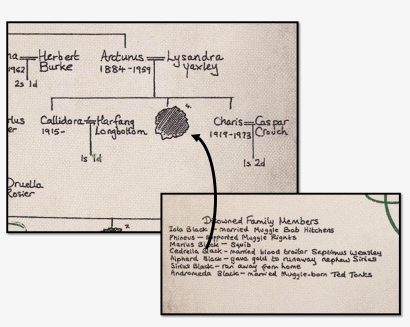 Sirius Black Family Tree