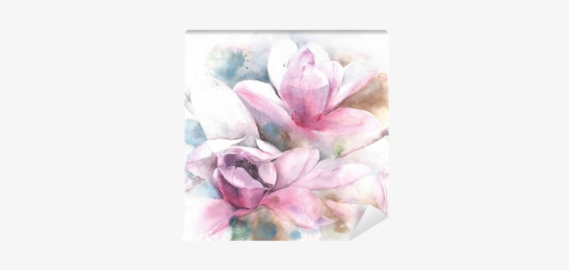 Magnolia Flower Tree Tulip Magnolia Watercolor Painting - Magnolia Watercolor Outline, transparent png #1896195