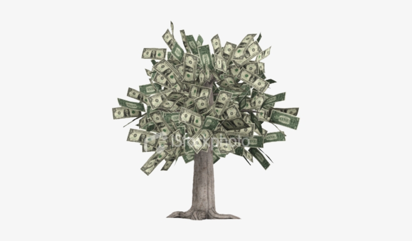 Dollar Tree - Need A Money Tree, transparent png #1896340