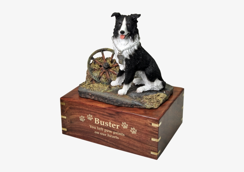 Border Collie Dog Figurine Wood Urn Engraved With Gold - Engraved Plate For Dog Ashes, transparent png #1897158