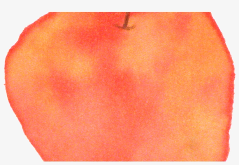 Apple Square Sticker 3" X 3", transparent png #1897945