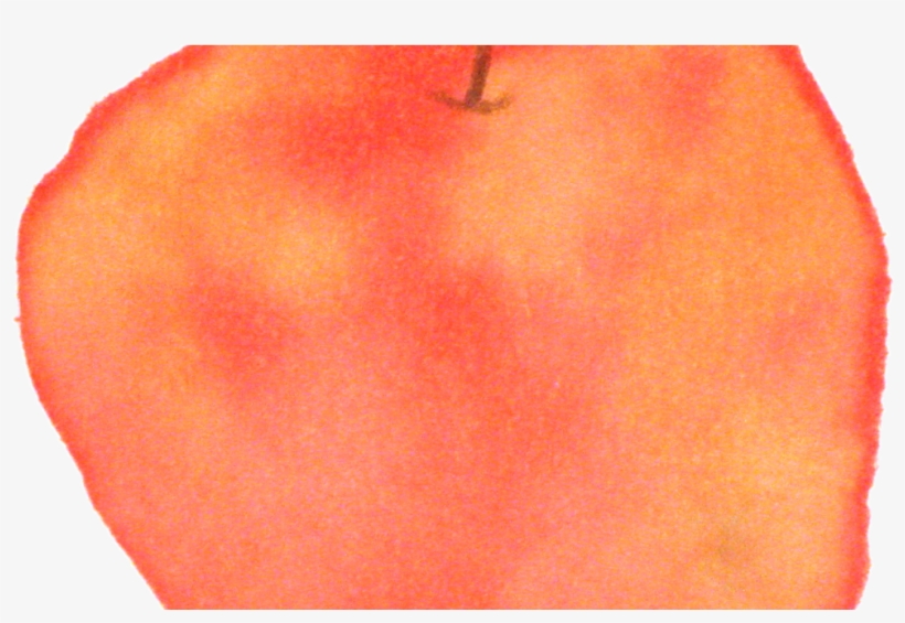 Apple Square Sticker 3" X 3", transparent png #1897945