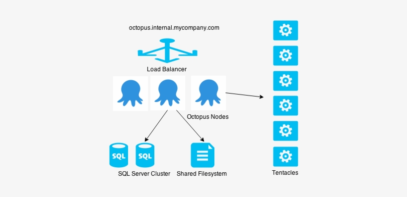 Typical Octopus Ha Setup - Octopus Deploy Tentacles, transparent png #1898052