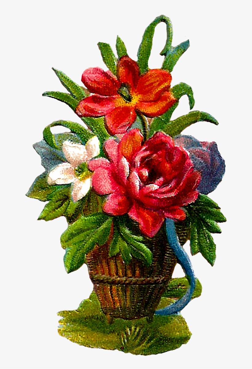 Pretty - Lily, transparent png #1898534